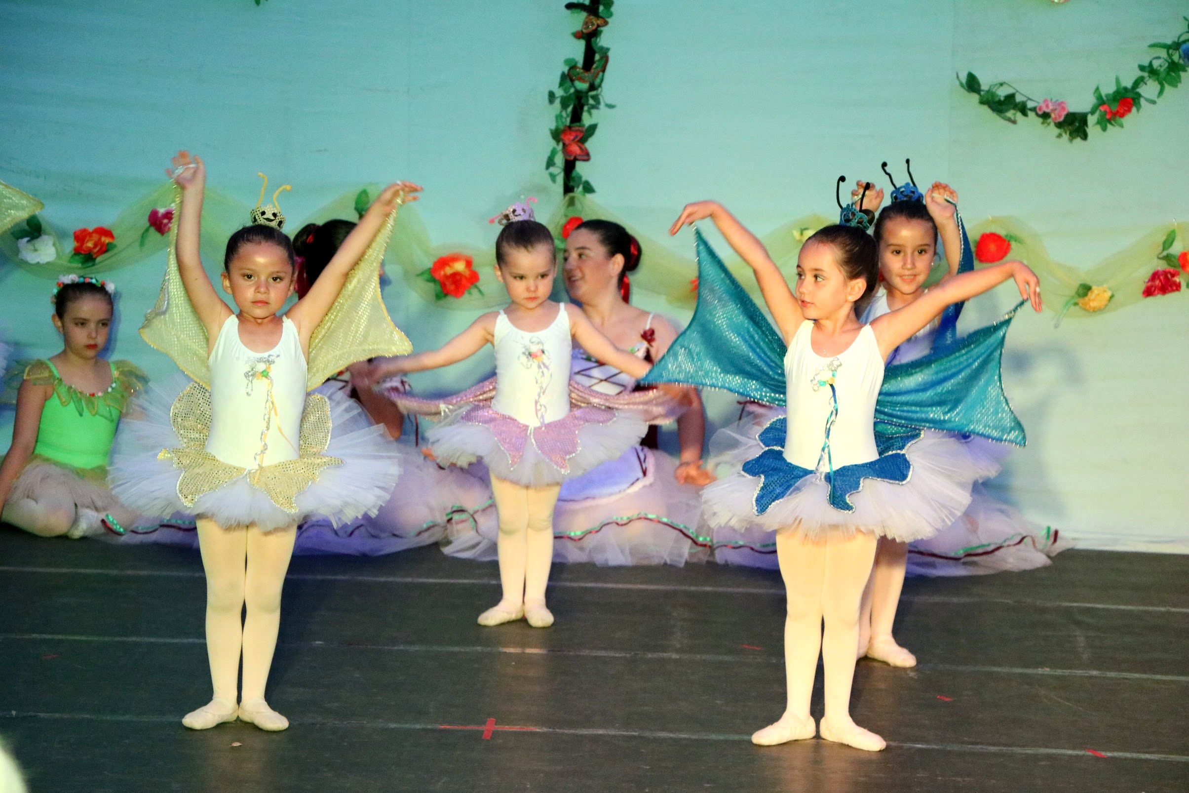 IMG_4443 IMG_4443