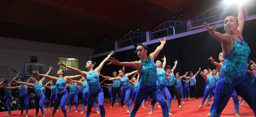 Gimnasia Artística brilló en su Gala